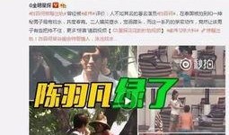 热门出轨爆料视频大全下载,一场场情感风暴的真相大曝光