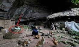 隐居在线观看,揭秘隐士生活，探寻心灵宁静之旅