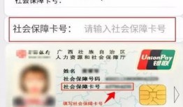 新疆社会新闻爆料电话查询,揭秘社会热点，守护平安新疆